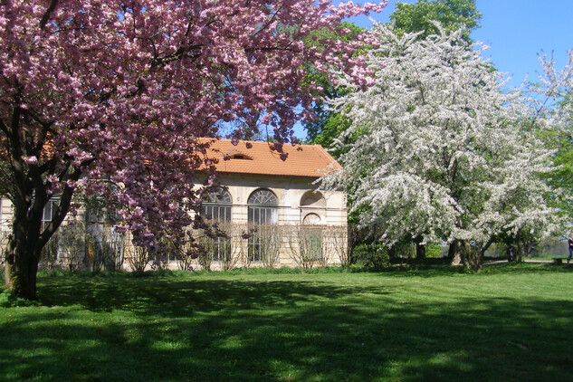 Oranžerie
